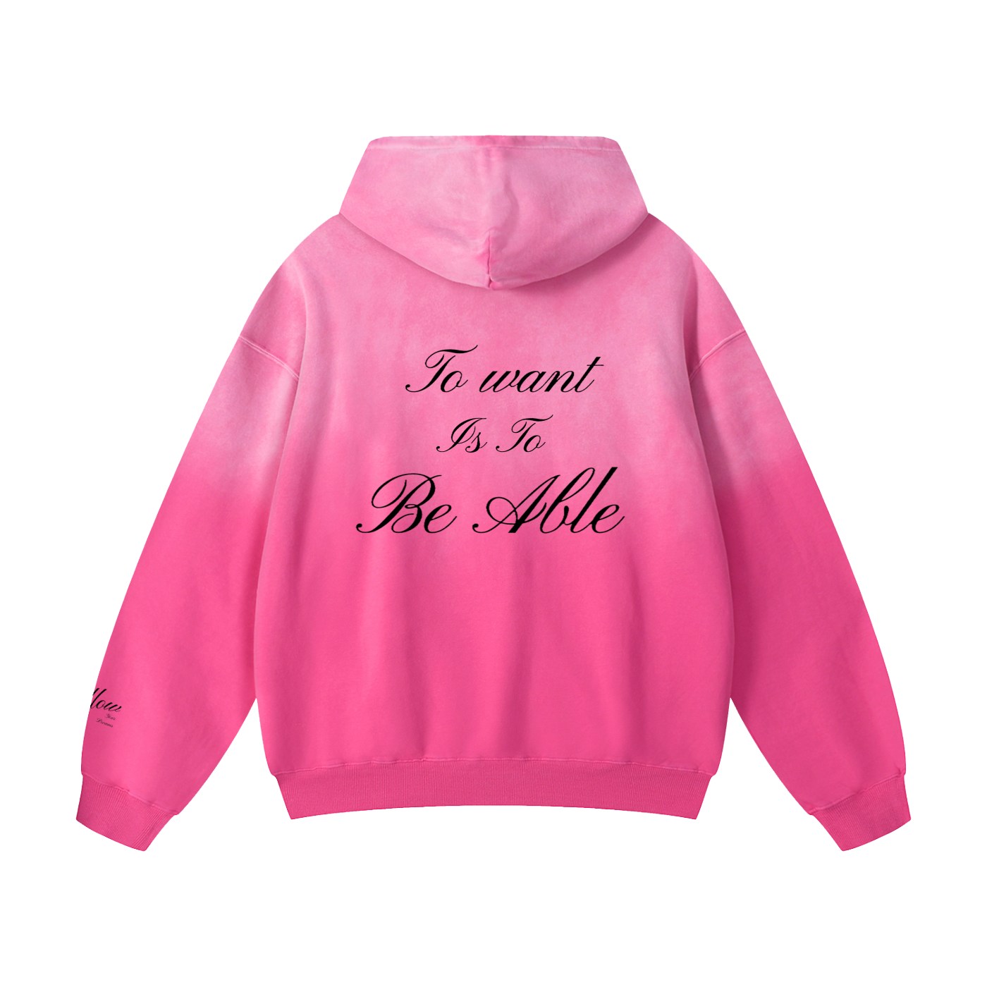To Want Is To Be Able Sunfaded Hoodie